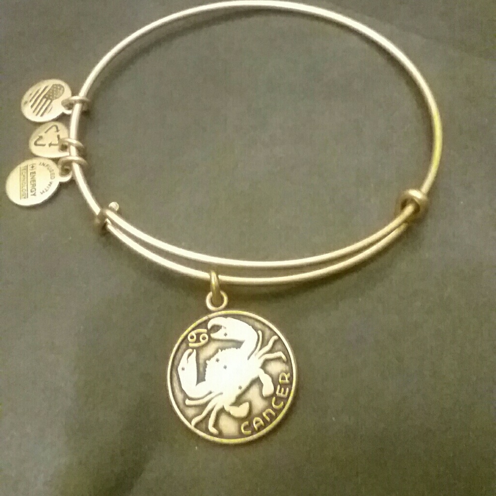 Alex and Ani